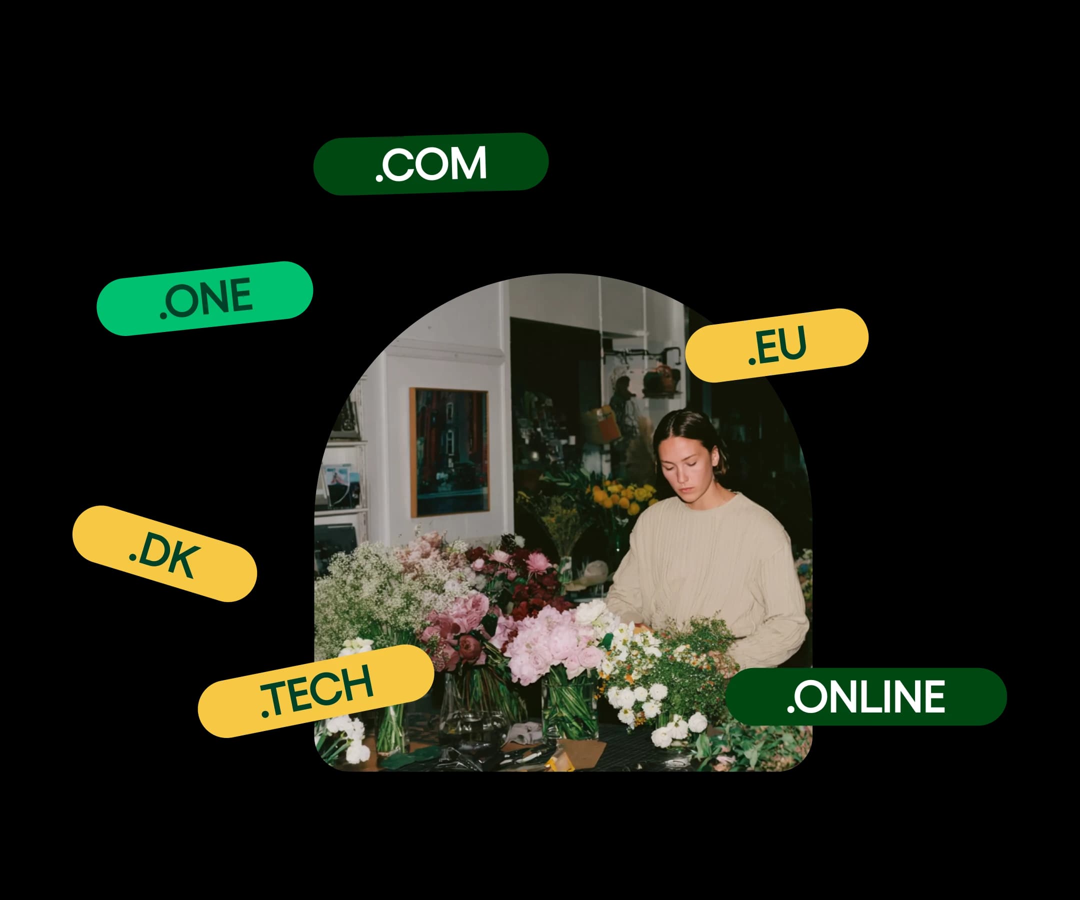 AIDA domain