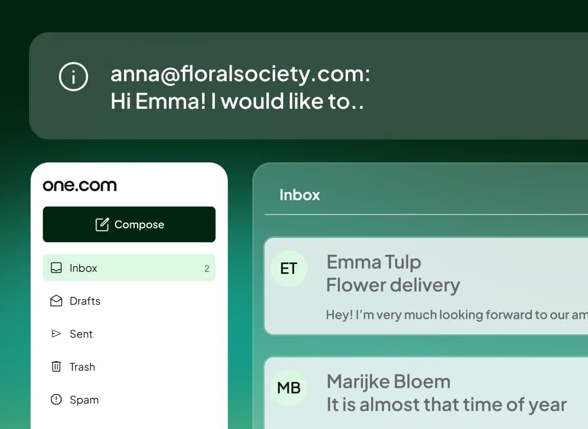 Professional email on your own domain