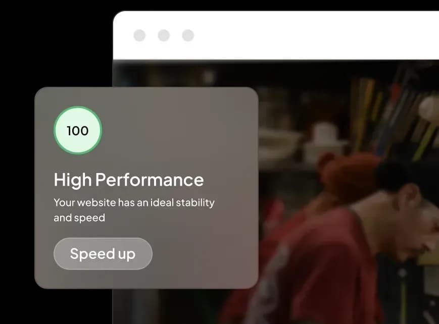 Managed WP Performance for your website